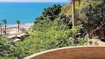 A curved brick pathway leading to a beach with palm trees and a clear view of the ocean.