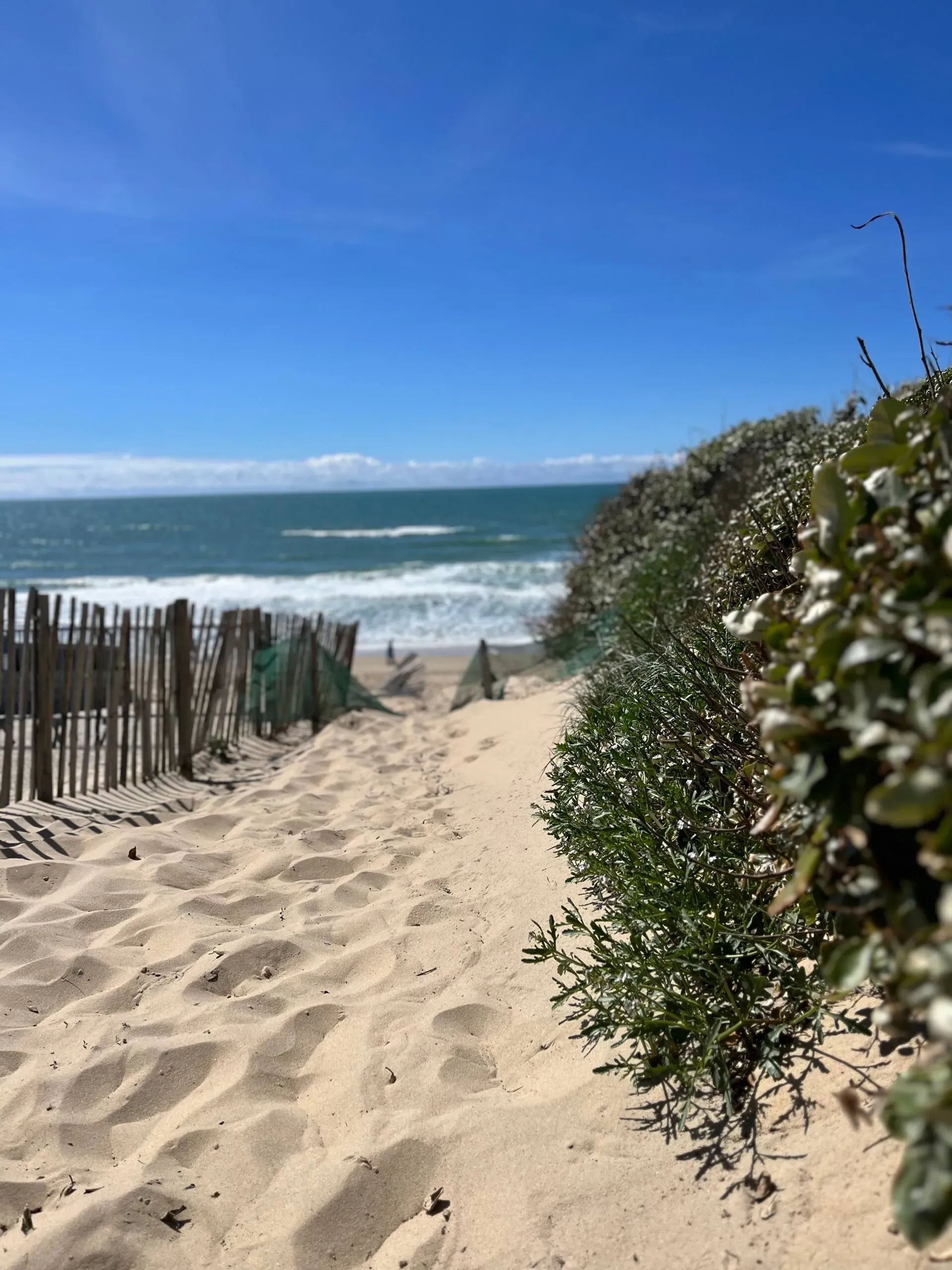 Strand