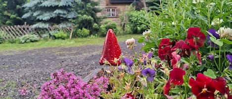 A garden with various flowers and a house in the background.