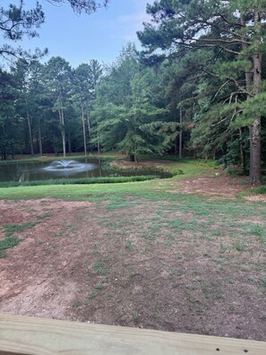 A pond with a fountain, surrounded by a grassy area and dense trees.