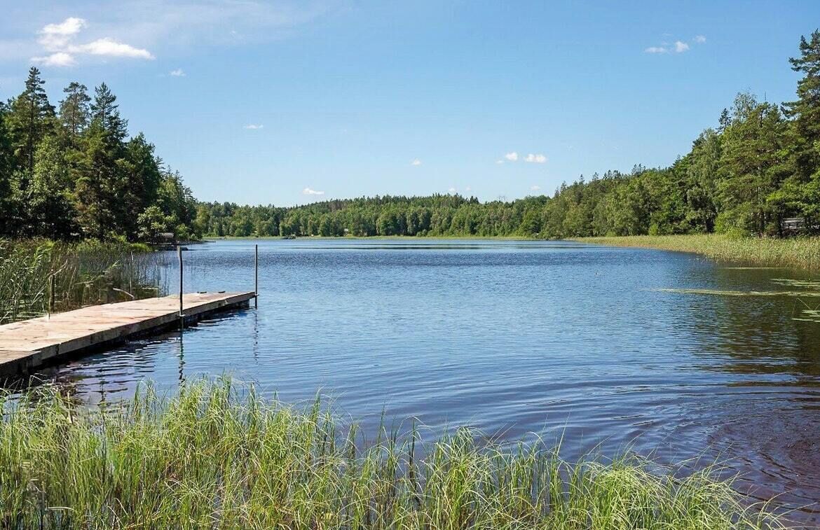 En stilla sjö med en träbrygga som sträcker sig ut i vattnet, omgiven av tät skog.