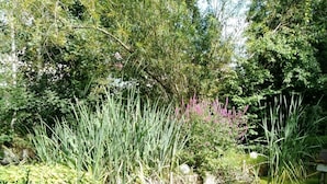 A garden with a pond, surrounded by various plants and trees.