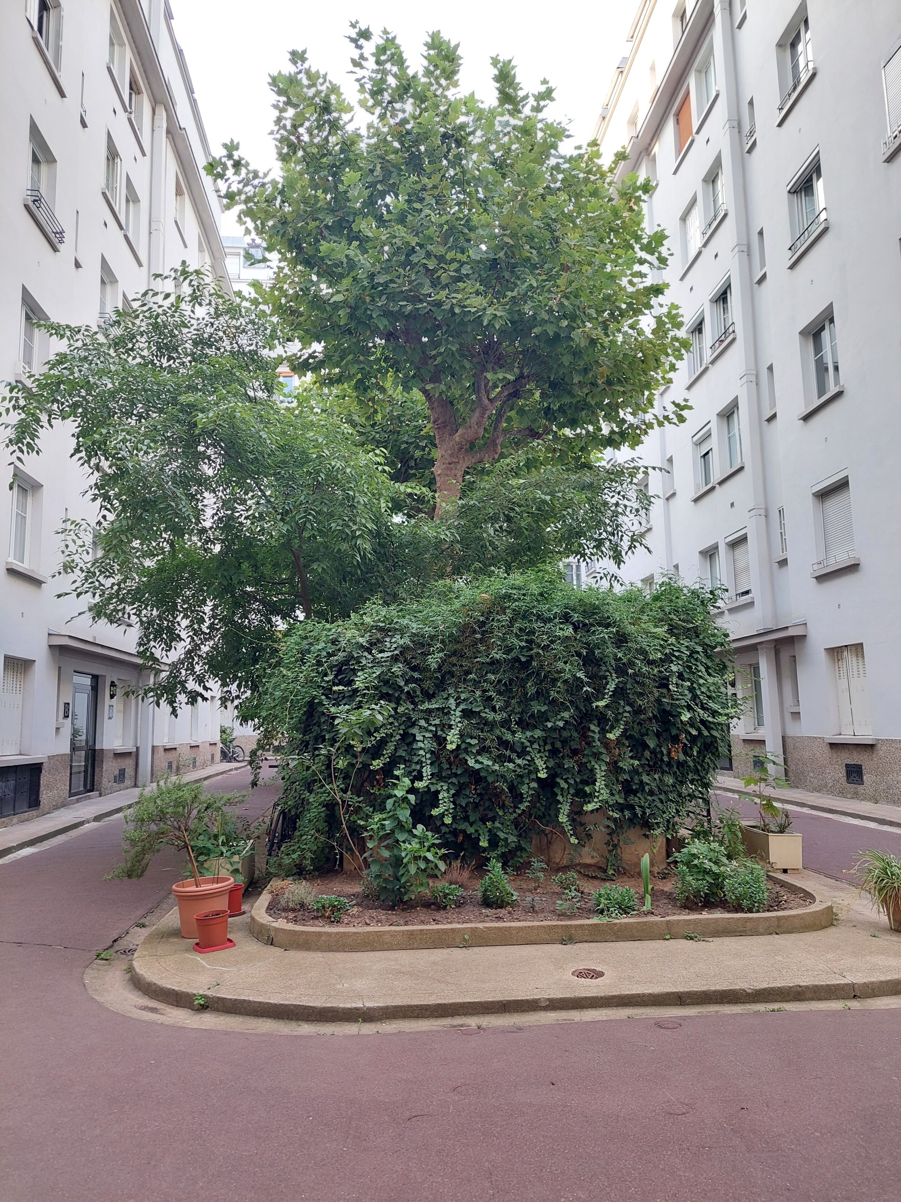 Une cour bordée d’arbres, avec un jardinière circulaire au centre, entourée d’immeubles à plusieurs étages dotés de balcons.
