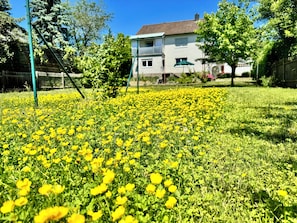 A residential area with a grassy field of yellow flowers, a swing set, and a house in the background.