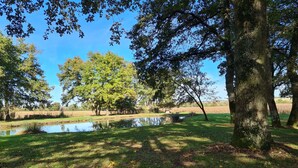 A natural landscape with a pond, trees, and a grassy area. - Countryside house in Berry, near Loire Castles (Clion)