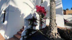 Un bâtiment blanc avec un escalier et un palmier.