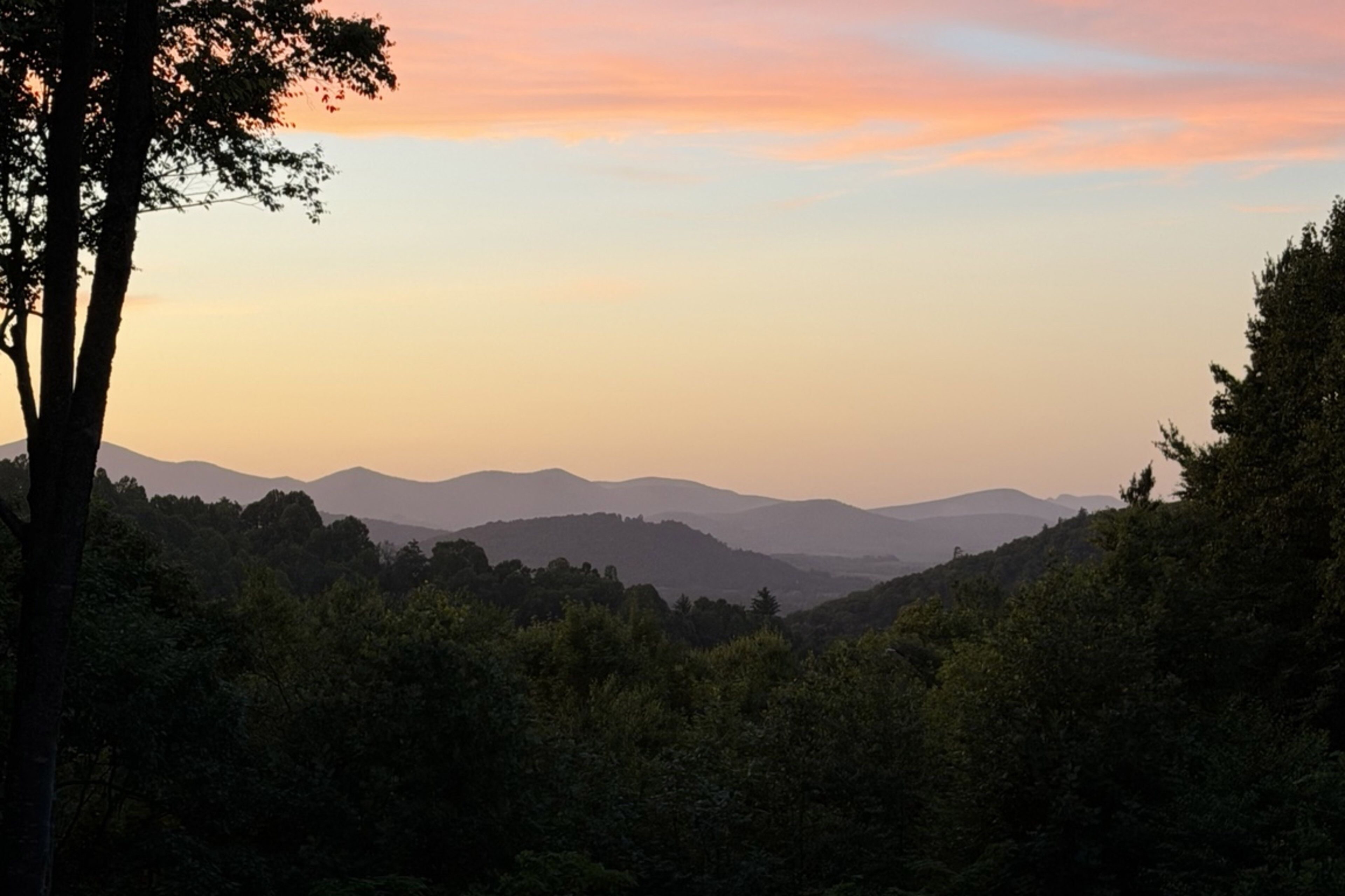 A landscape with a tree in the foreground and a range of hills in the background.