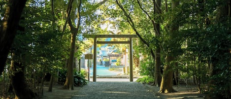 A pathway leading to a traditional Japanese-style gate in a forested area.
