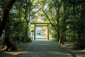 Property grounds - pokapoka village (Ise)