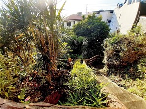 Un jardín con diversas plantas y un sendero.