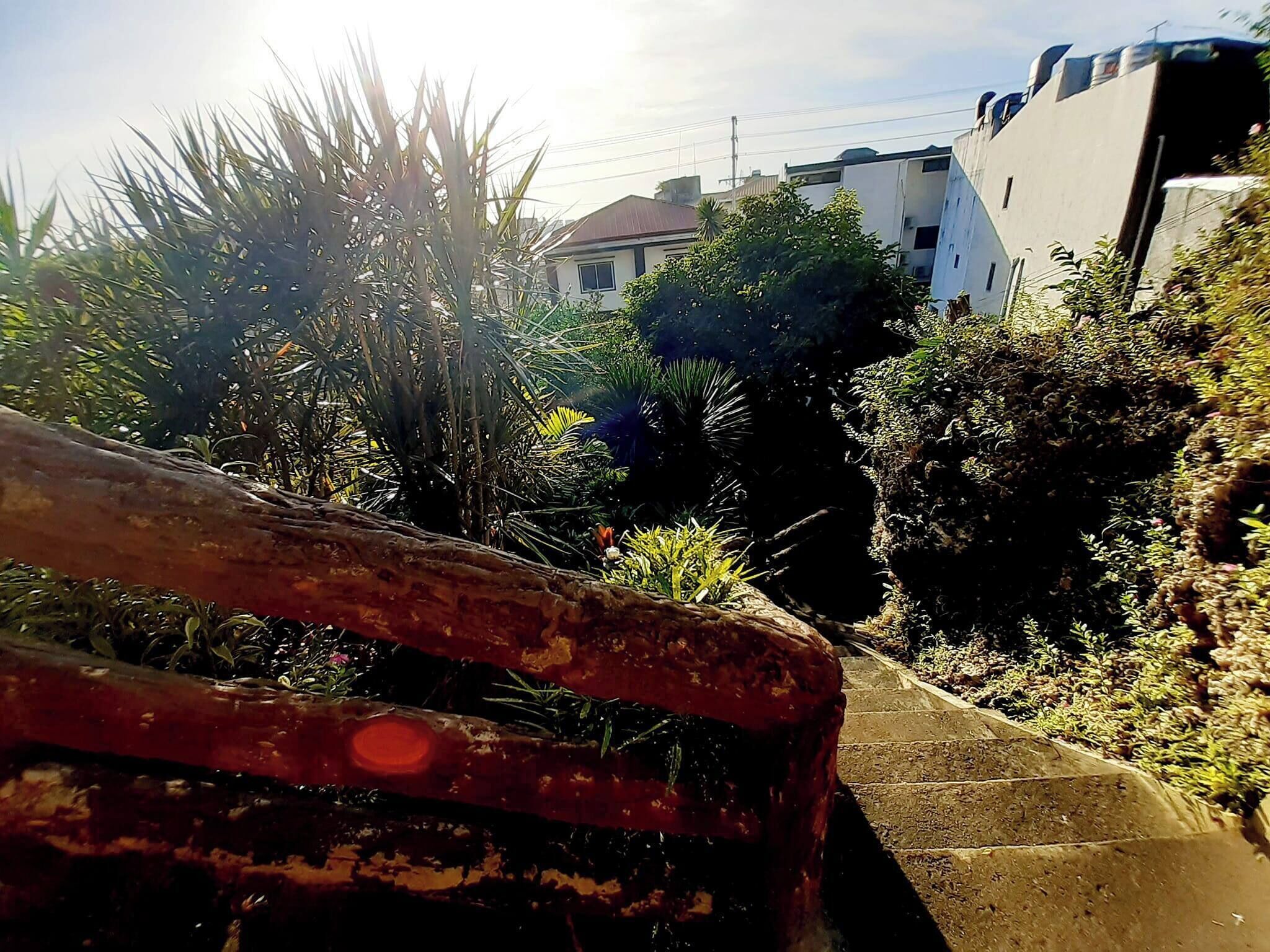 A staircase surrounded by dense vegetation and buildings in the background.