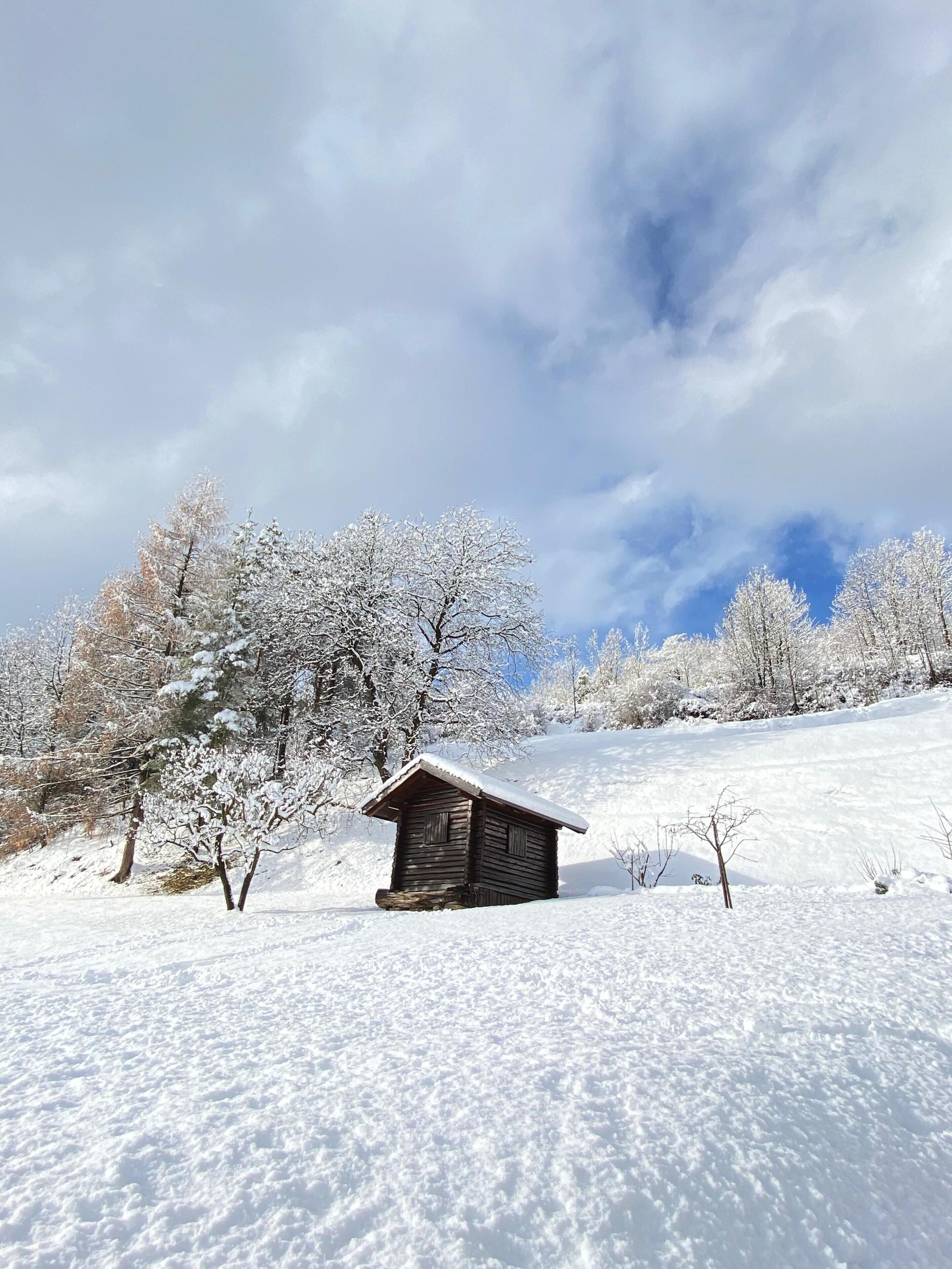Eine Holzhütte in verschneiter Landschaft, umgeben von Bäumen.