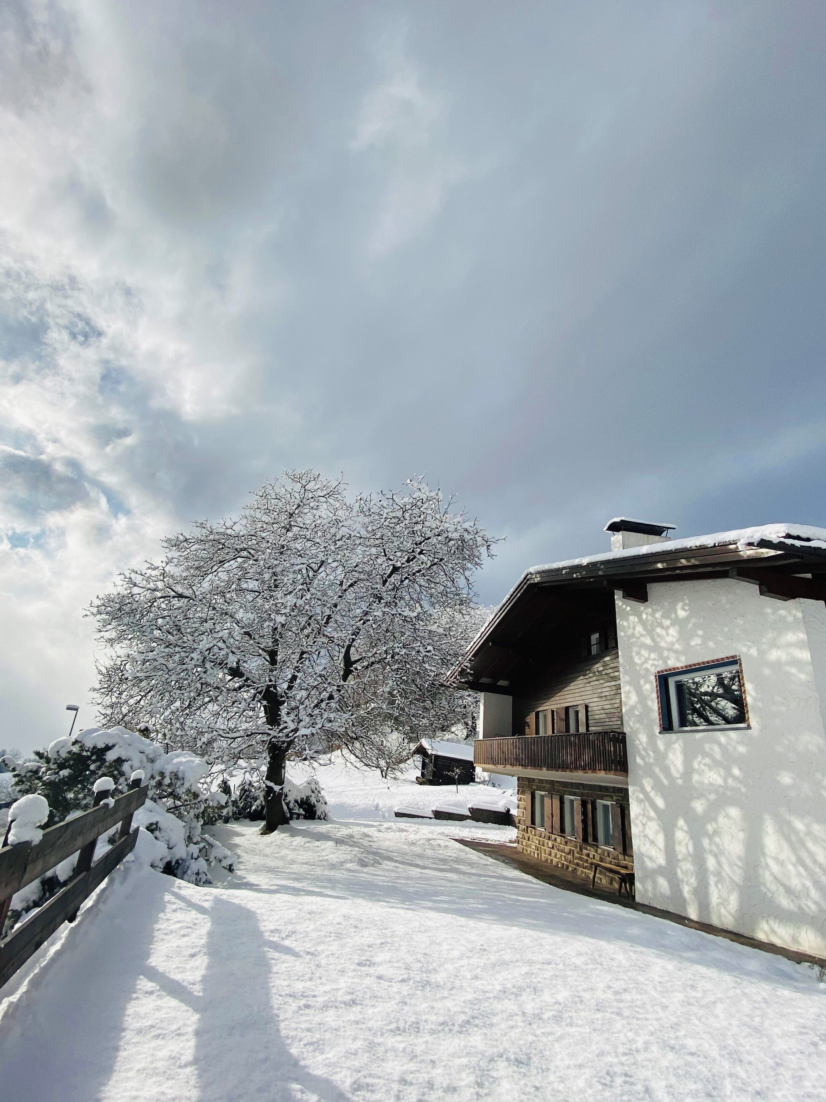 Un paysage enneigé avec une maison en bois et un grand arbre au premier plan.