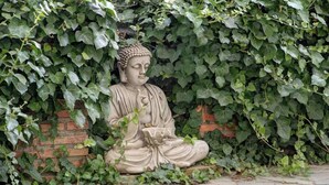 Une statue représentant une figure assise, en partie dissimulée par un feuillage vert et dense.
