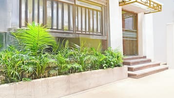 Entrada de um edifício com um vaso de concreto cheio de plantas verdes, um conjunto de degraus levando a uma porta e uma janela com persianas verticais.