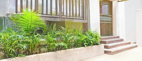 A building entrance with a concrete planter with green plants, a set of stairs leading up to a door, and a window with vertical blinds.
