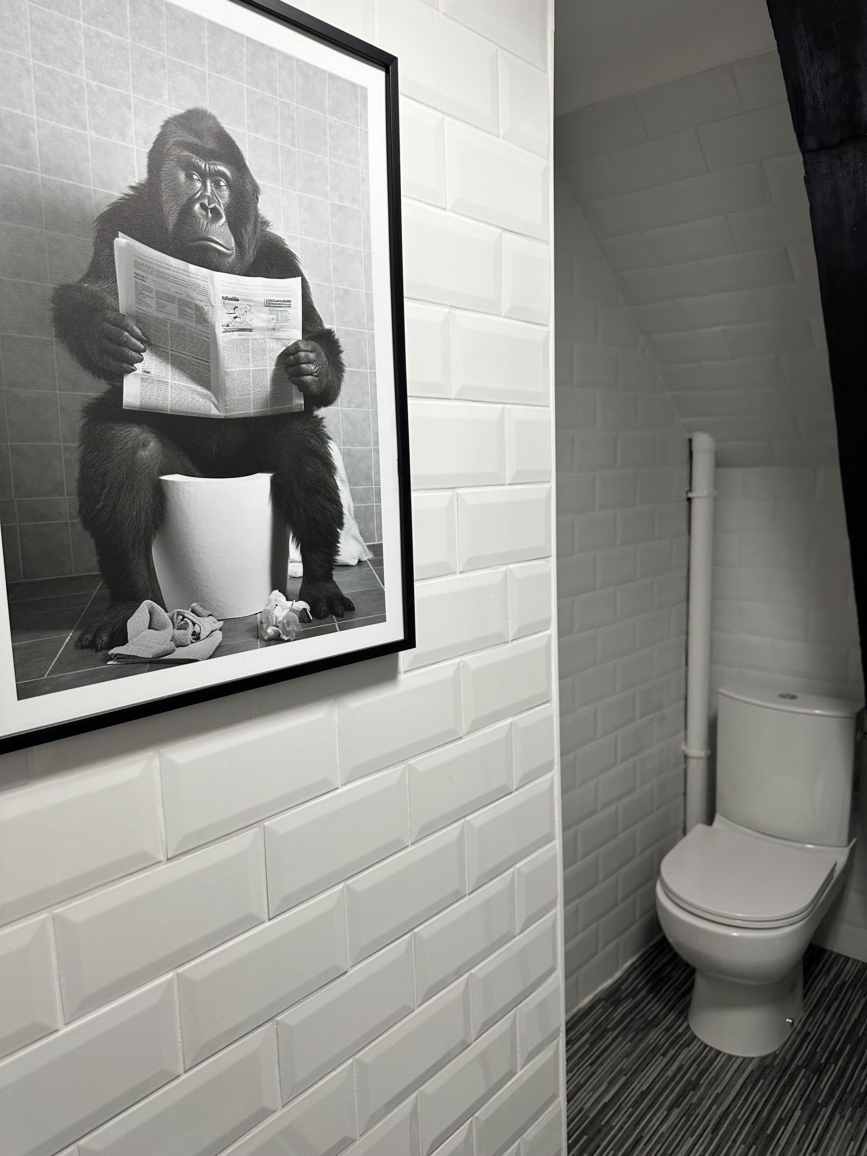 Une photo encadrée représentant un gorille assis sur des toilettes, avec des papiers, une poubelle et un bébé par terre.