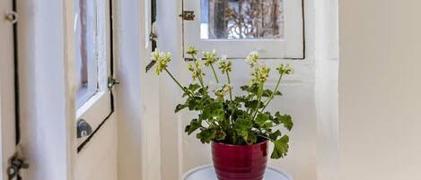 A narrow hallway with a white door and a window with a view of a street. A red pot with green plants is placed on a small white table.