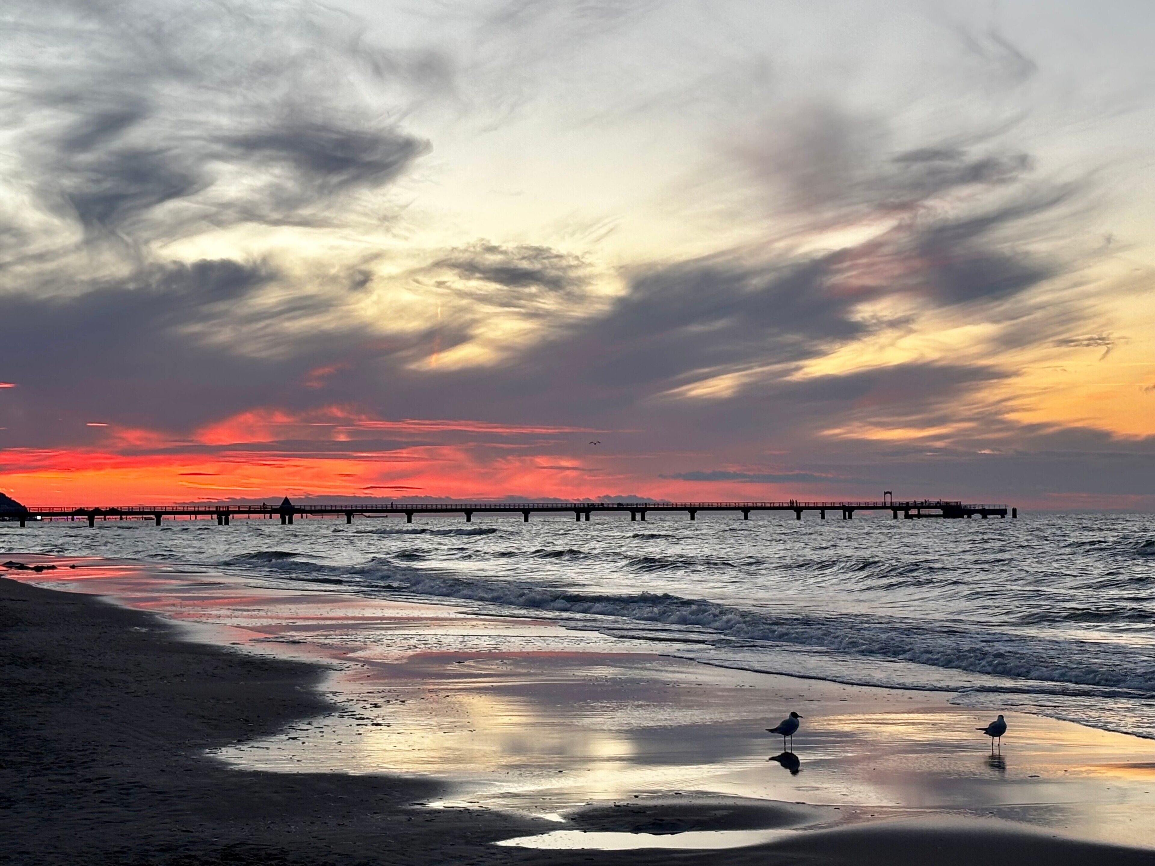 Une plage avec une jetée qui s’avance dans l’eau, des vagues qui viennent doucement lécher le rivage, et un oiseau perché sur le sable mouillé.