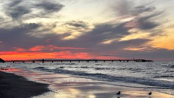 Une plage avec une jetée qui s’avance dans l’eau, des vagues qui viennent doucement lécher le rivage, et un oiseau perché sur le sable mouillé.
