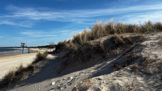 Una playa con una torre de salvavidas, dunas arenosas y cielo despejado.