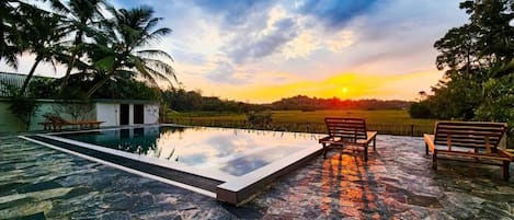 A swimming pool with a stone deck, two wooden benches, and palm trees.