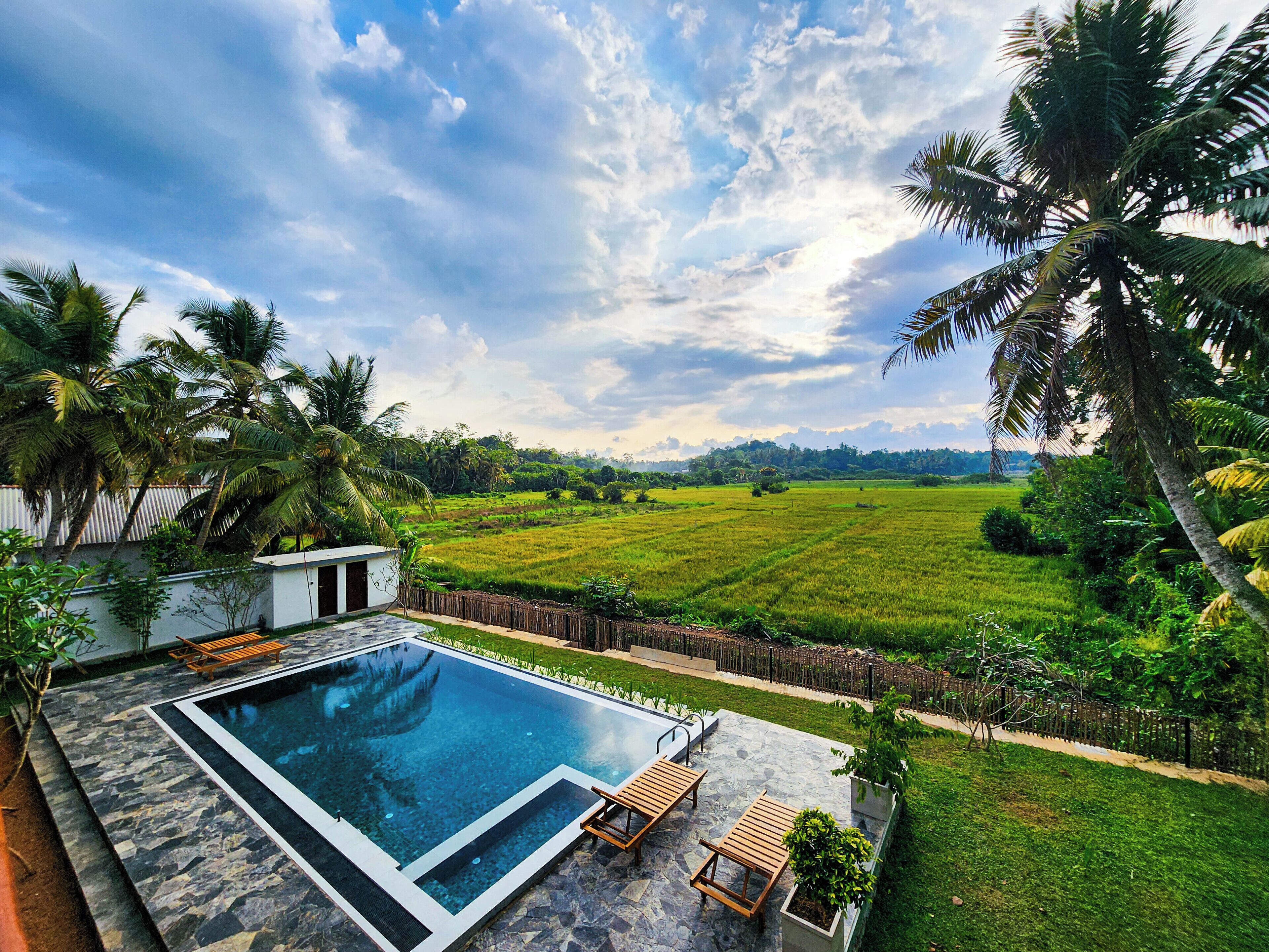 A swimming pool with a stone border, surrounded by a grassy area and palm trees.