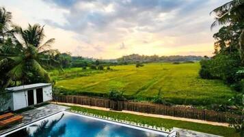 Hồ bơi ngoài trời