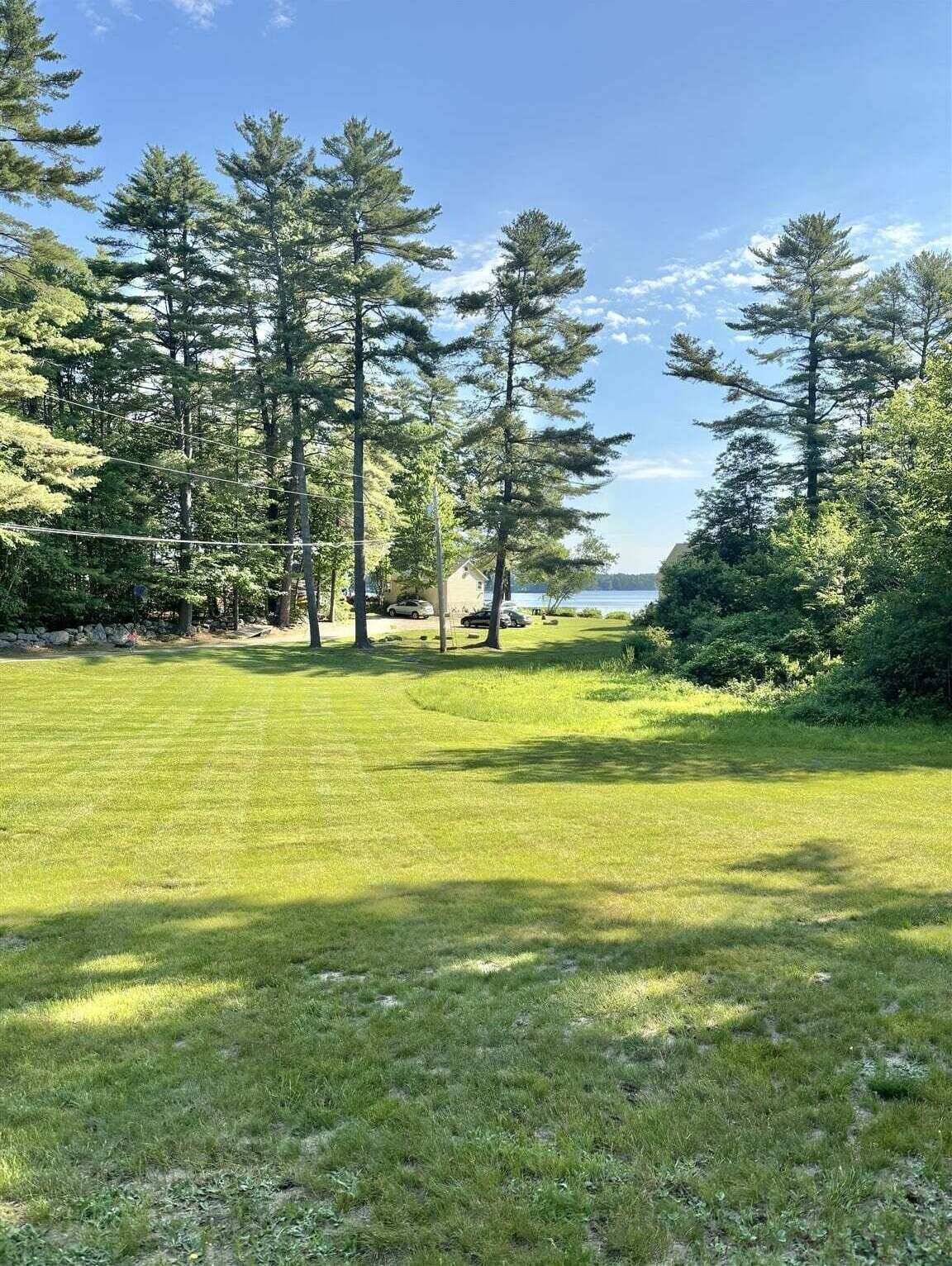 A grassy area with trees and a view of a body of water.