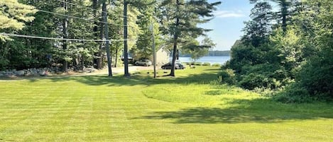A grassy area with trees and a view of a body of water.