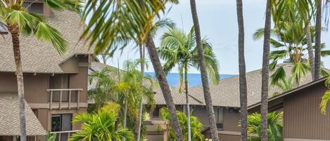 A resort with multiple-story buildings, palm trees, and a view of the ocean.