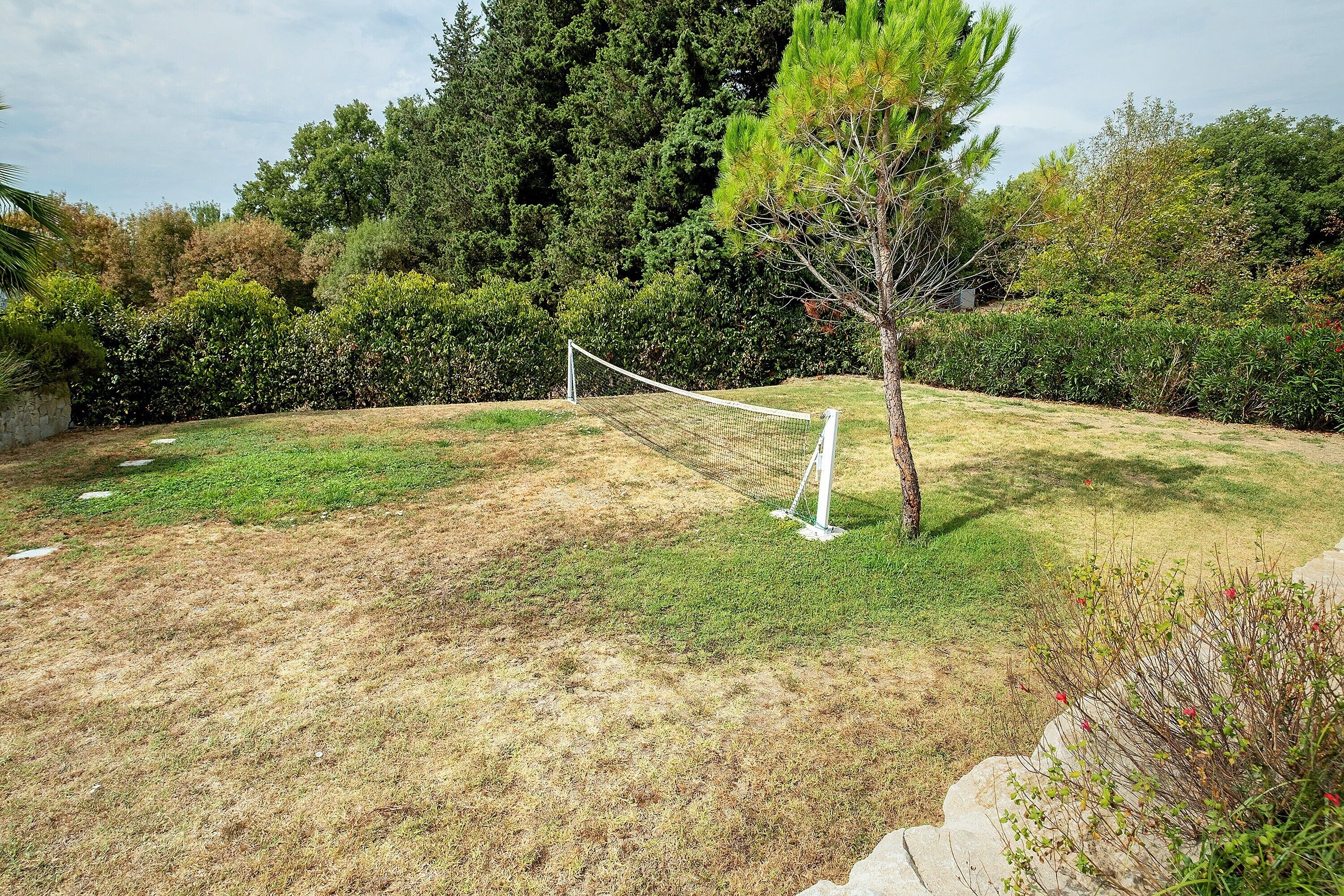Une zone herbeuse avec un petit arbre et une clôture blanche.