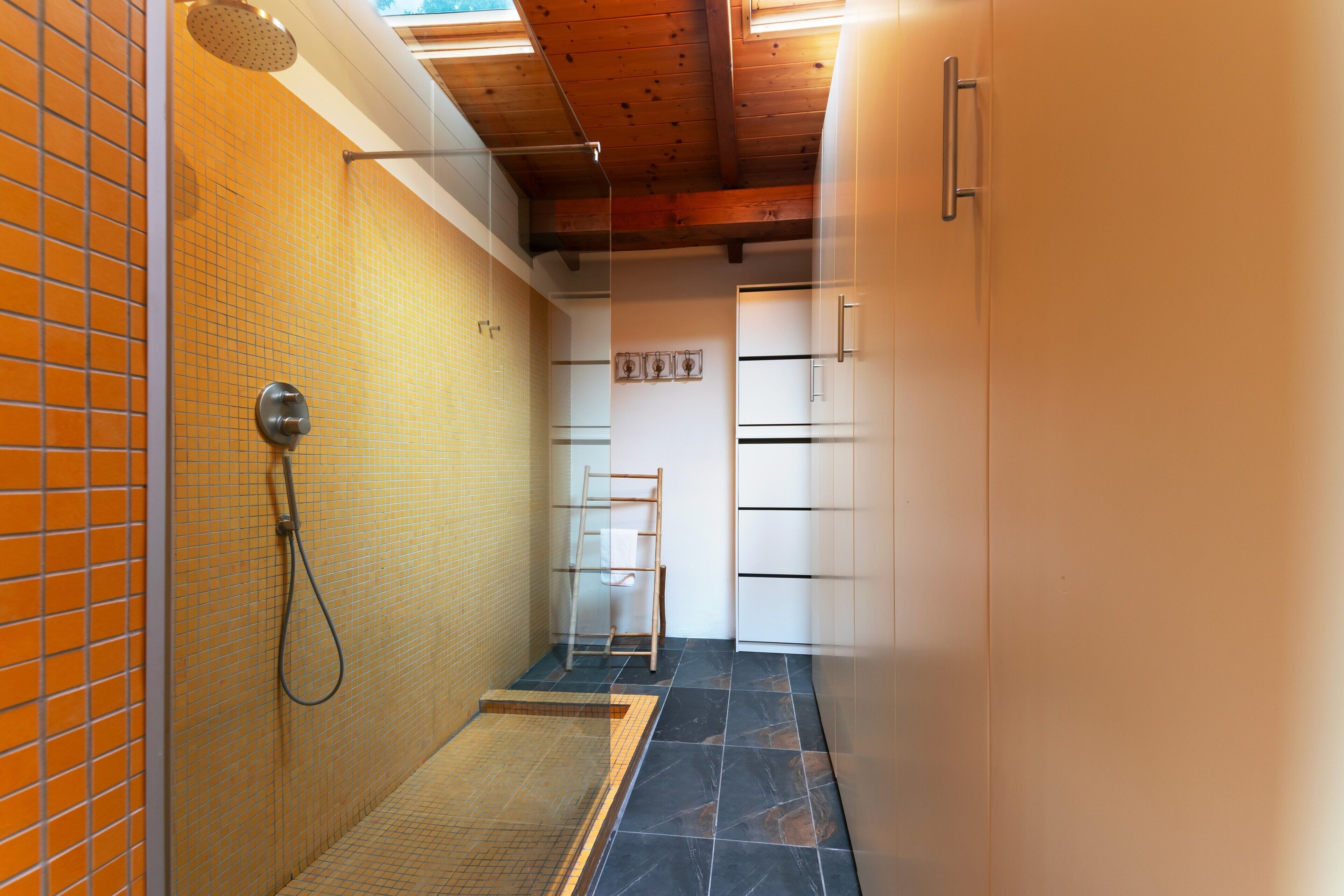 Shower, hair dryer, towels