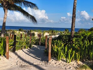 Una playa cerca