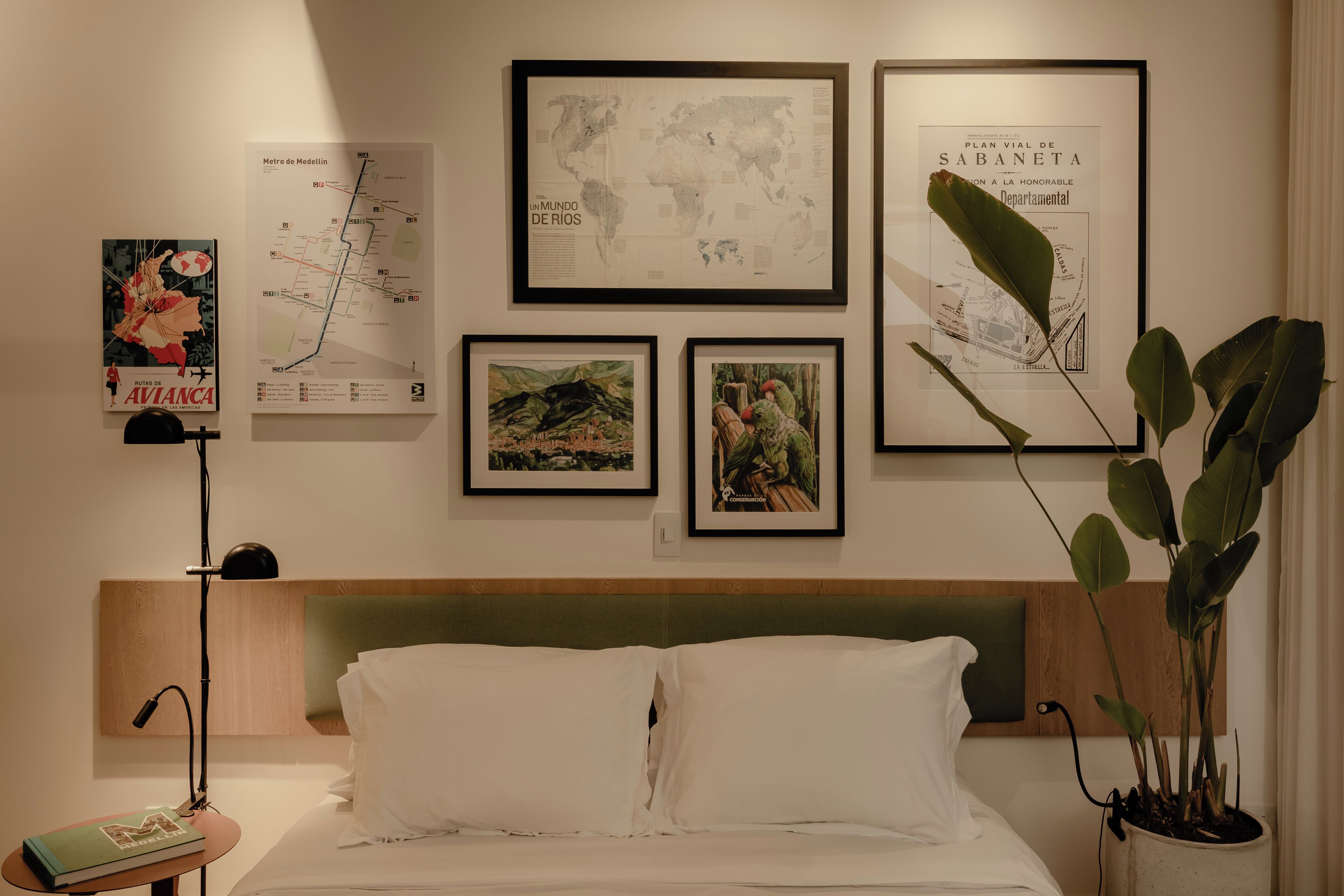 A hotel room with a bed, a nightstand, a lamp, and a large potted plant.
