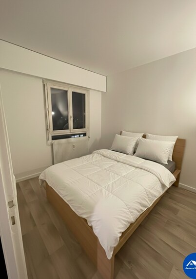 Beautiful apartment in downtown Ferney-Voltaire