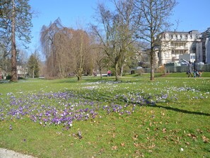 Ein Park mit Rasenfläche und Bäumen, ein Gebäude im Hintergrund sowie Personen, die spazieren gehen.