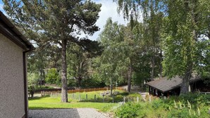 A gravel driveway leading to a wooden cabin surrounded by a fenced pasture with trees.