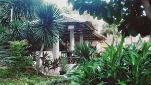 Un jardin luxuriant, parsemé de diverses plantes tropicales, et agrémenté d’une structure dont le toit est fait de chaume.