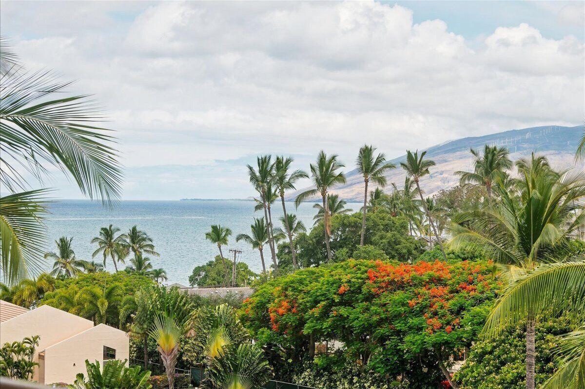 The property sits in a tropical coastal area with ocean waters nearby, framed by swaying palms and distant mountain ridges visible across the bay.