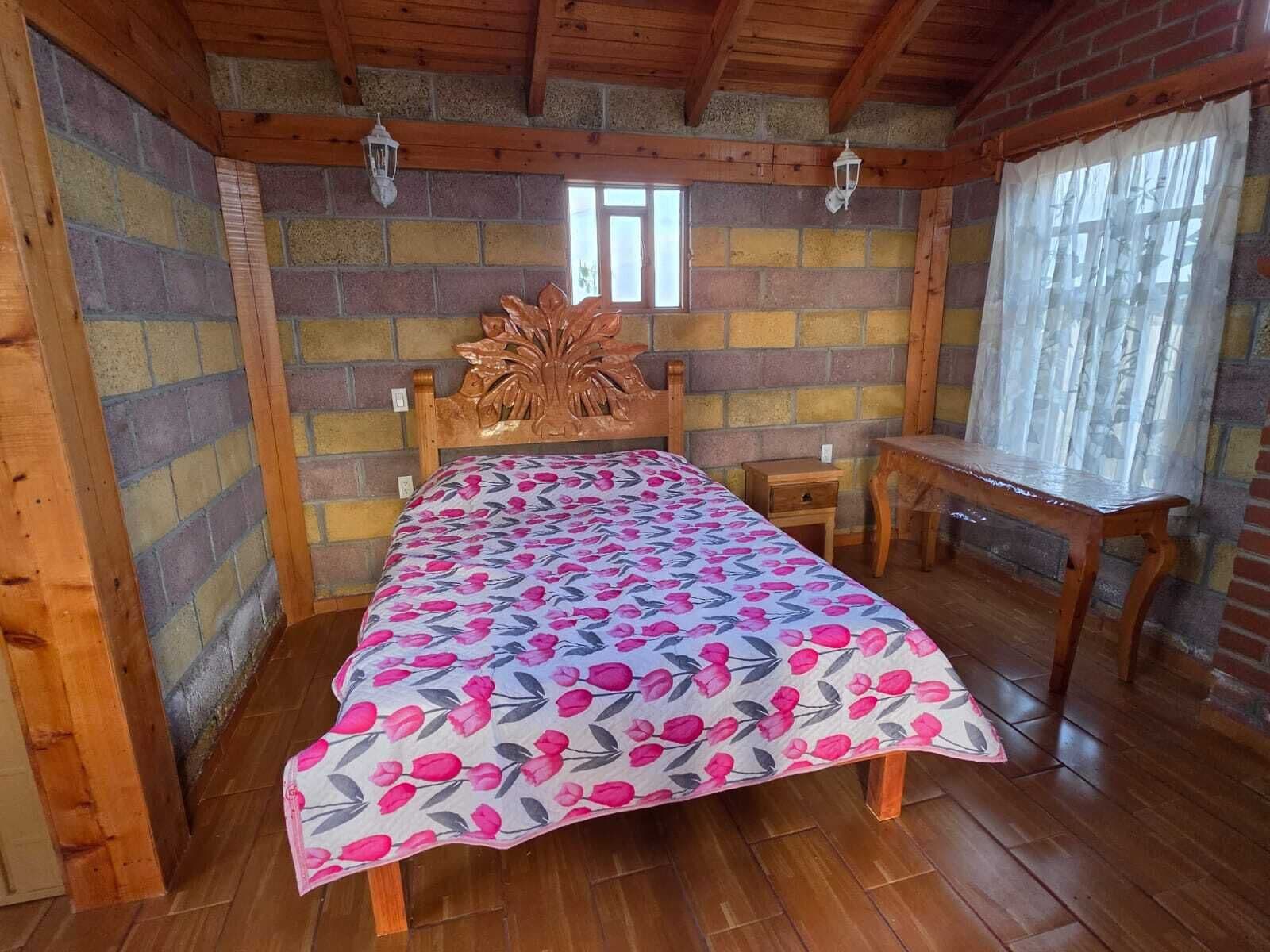 Economy Cabin