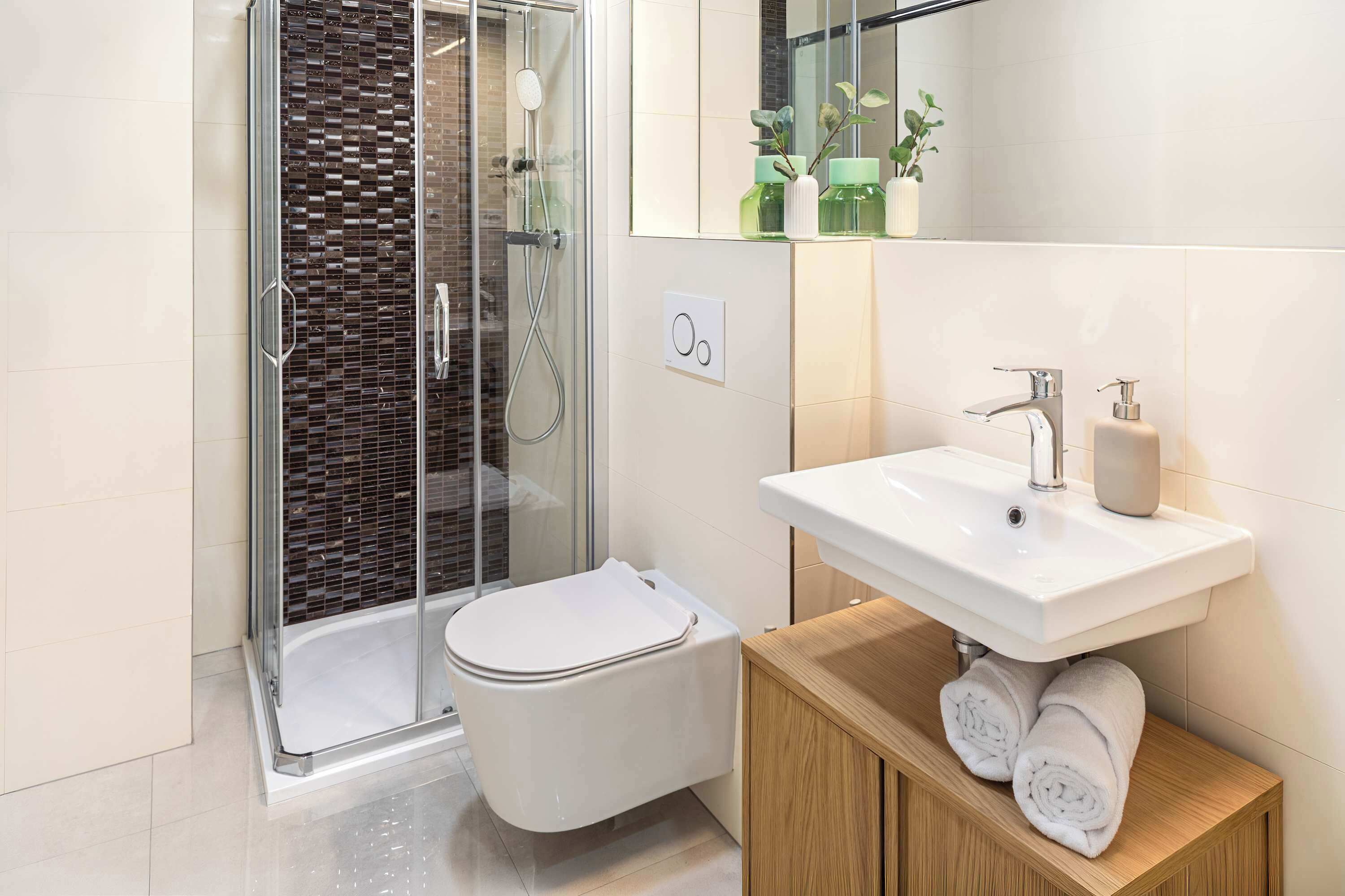 Shower, hair dryer, shampoo