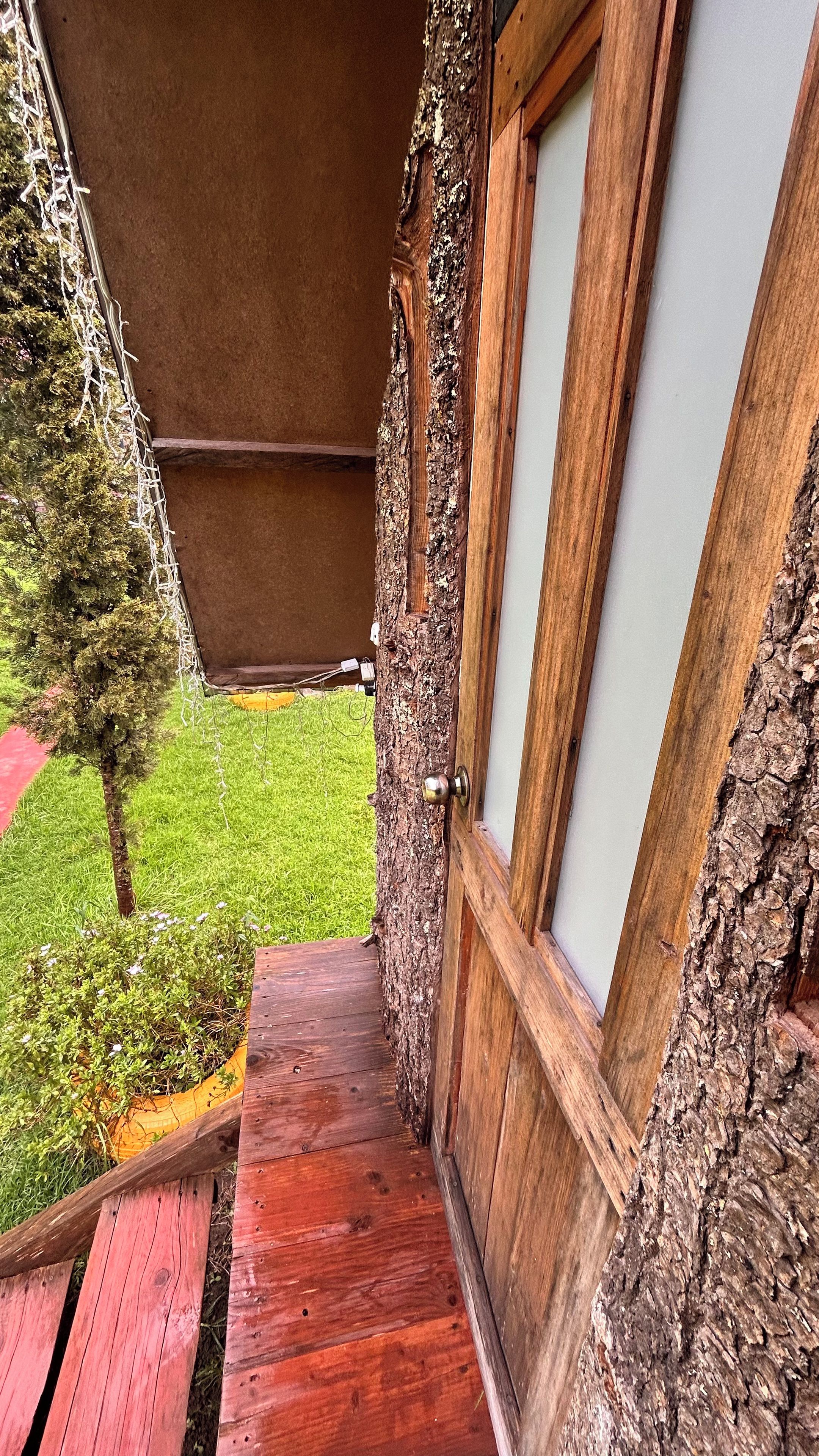 Eine Holztür mit einer strukturierten Wand, eine kleine Holztreppe zu einer Rasenfläche und ein Baum zur Linke.