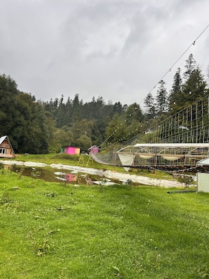 Un paysage rural avec un petit étang, des constructions en bois et une zone délimitée par un filet, probablement utilisée à des fins agricoles.