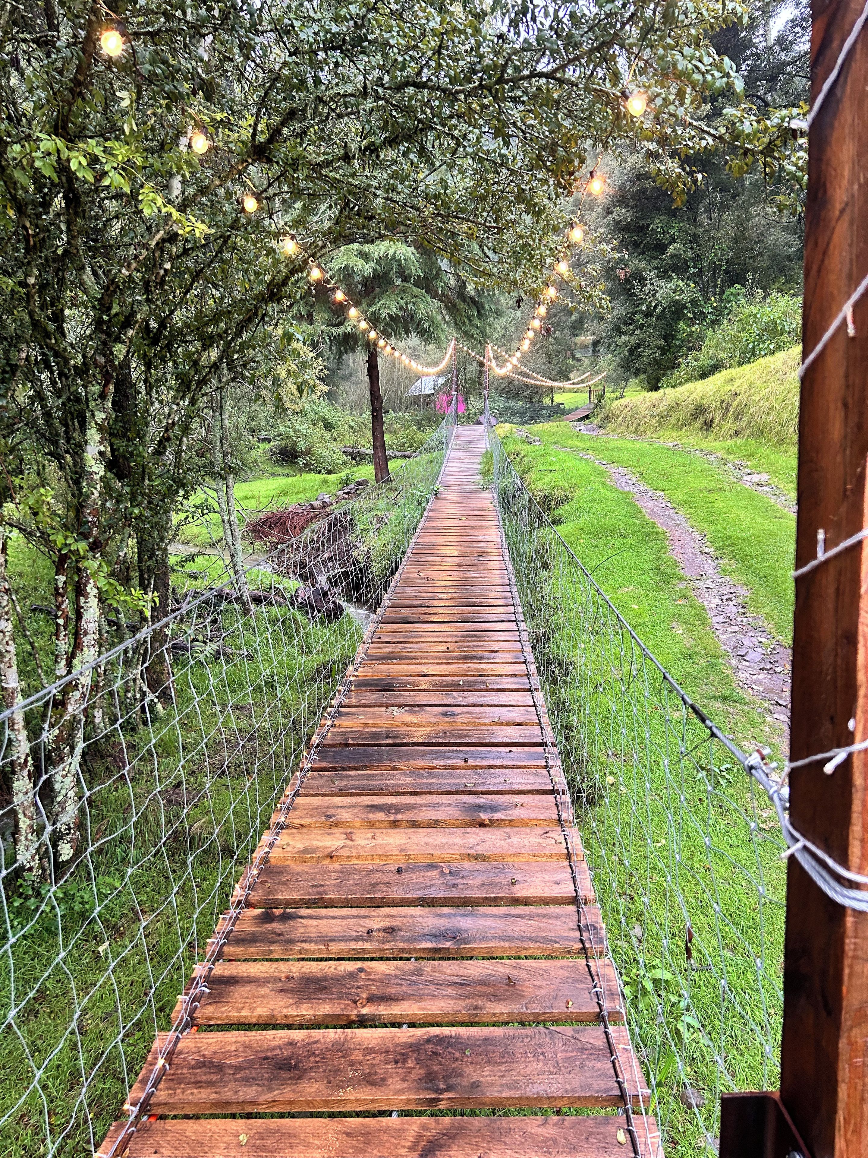 Un sendero de madera serpentea por una zona verde exuberante, bordeado por árboles y una valla de alambre.