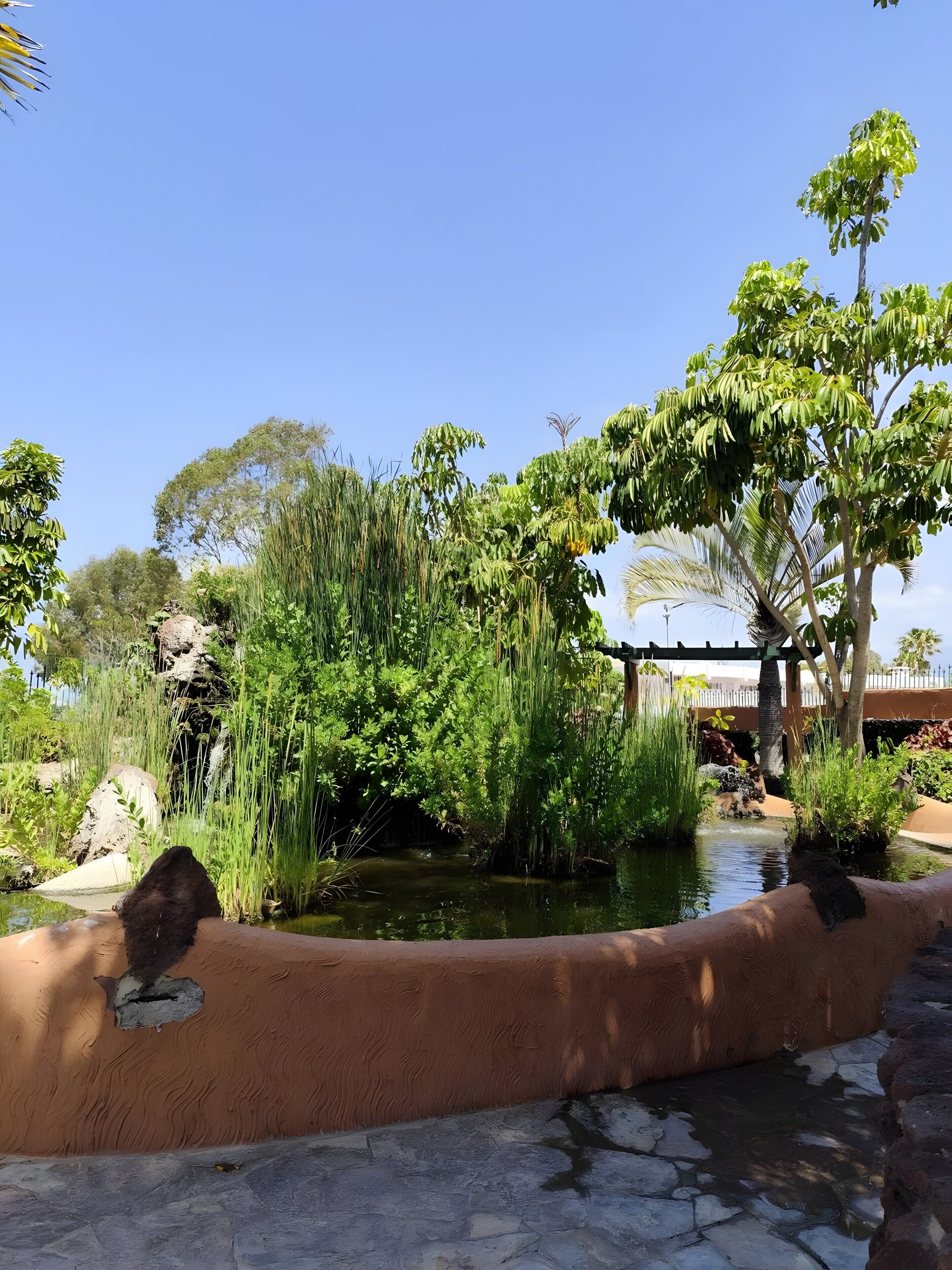 Un jardín ajardinado con un estanque, diversas plantas y una formación rocosa.