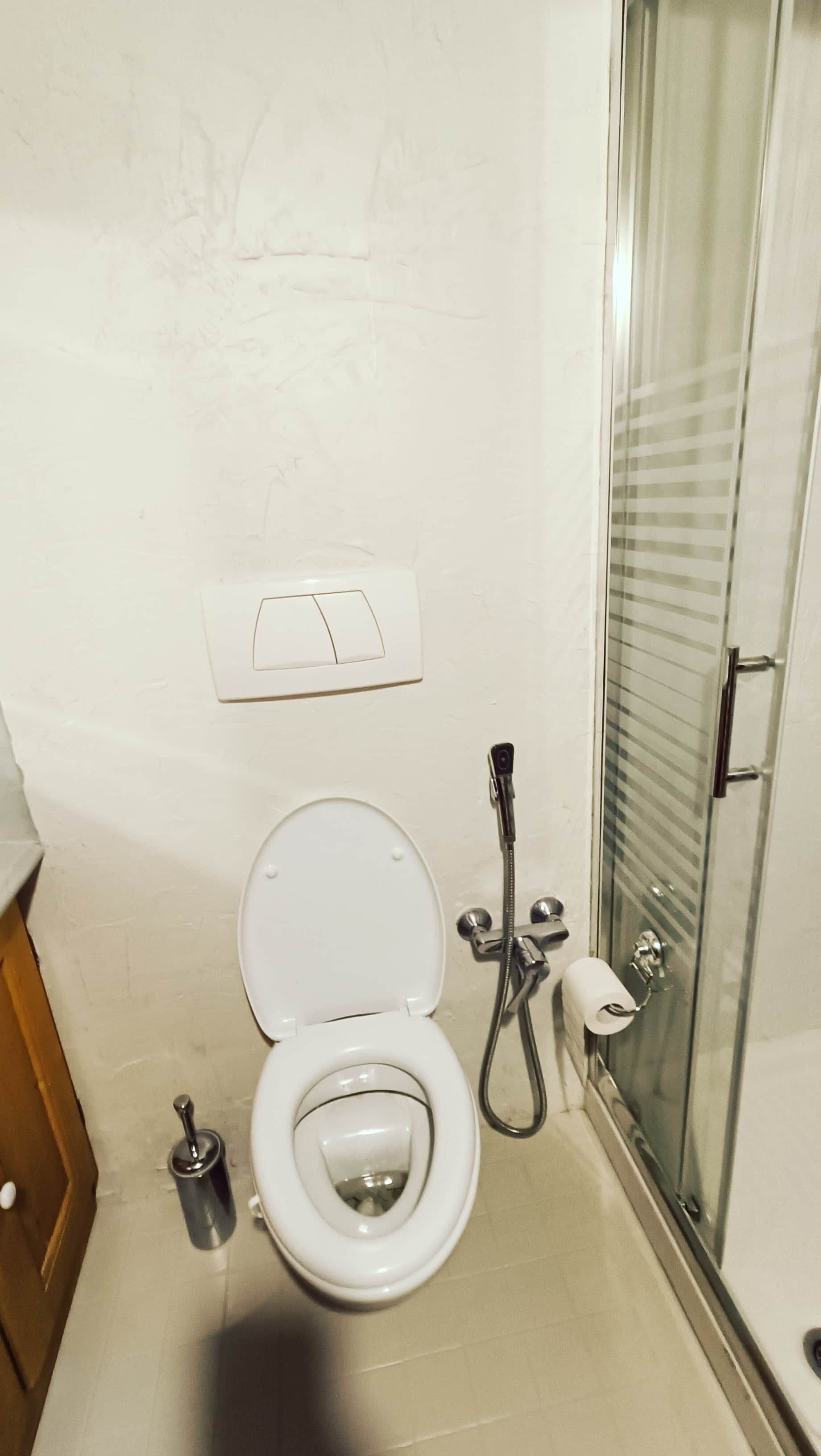 A bathroom with a toilet, a shower, and a glass door.