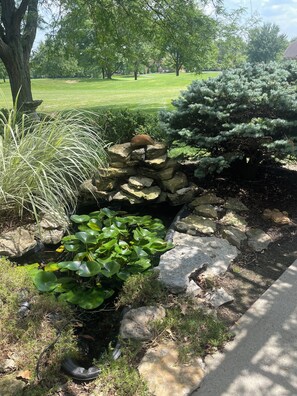 Un jardín con un estanque, rocas y diversas plantas.