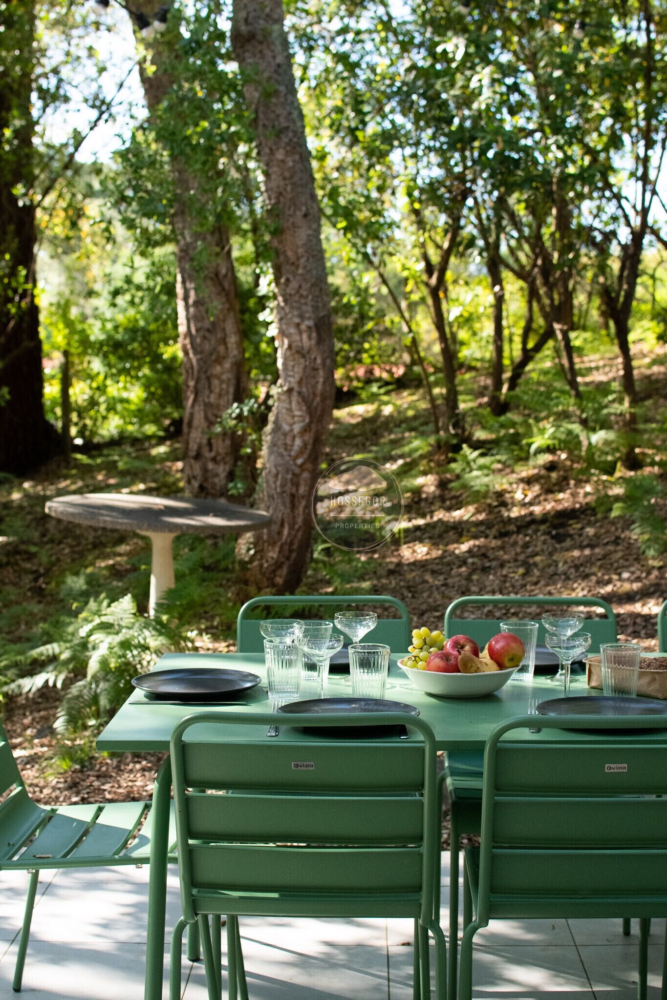 Un espacio de comedor al aire libre con una mesa preparada para cuatro personas, rodeado de follaje y árboles.