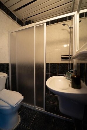 Een badkamer met toilet, wastafel en douchecabine.